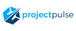 The Project Pulse